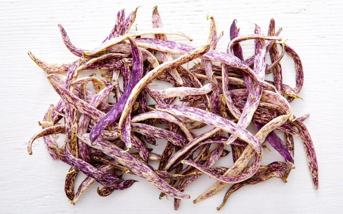 Organic Dragon's Tongue Beans Lonely Mountain Farm SF